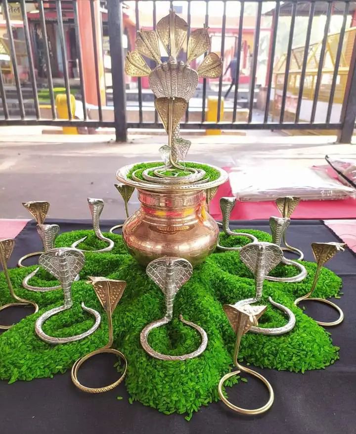 Kaal Sarp Puja