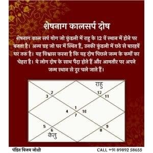 शेषनाग कालसर्प दोष